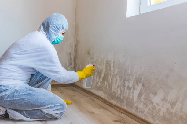 Asbestos and Lead Testing During Mold Inspection in Montauk, NY