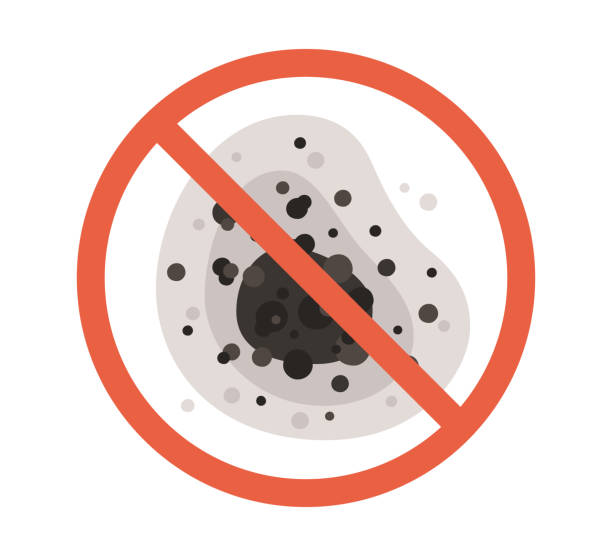 Montauk, NY Mold Removal Pros