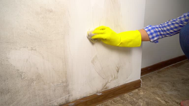Best Comprehensive Air Testing for Mold Contaminants  in Montauk, NY